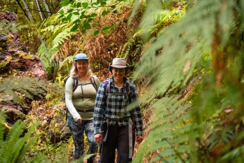 Te Urewera Treks - Bare Kiwi