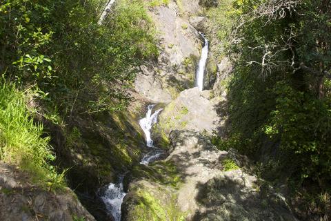 Wairere Falls