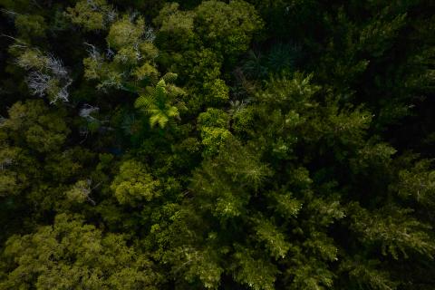 Ōmataroa Eco Tours aerial