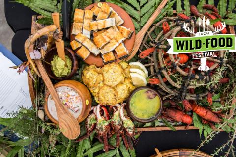Wild Food Challenge