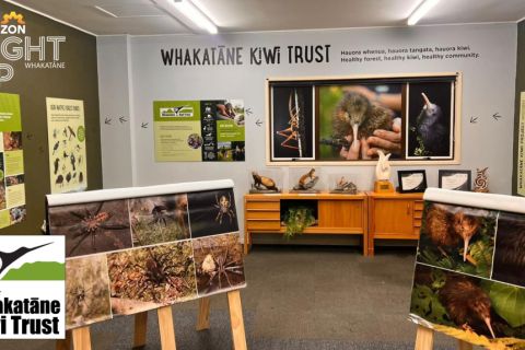 Kiwi Hub After Dark - Light Up Whakatāne