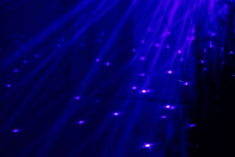 Trust Horizon light Up