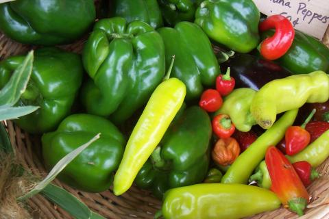 Peppers at the market