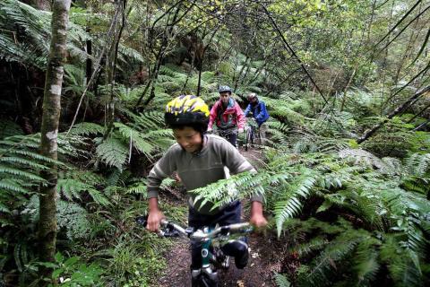 Family riding through bush