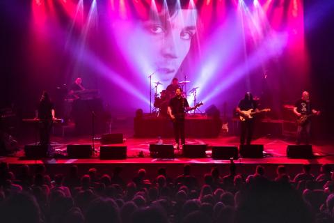 Live show