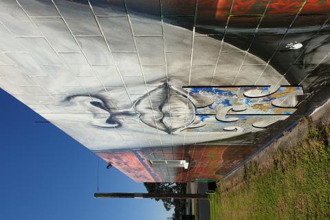 Mana Wahine Mural, Matata