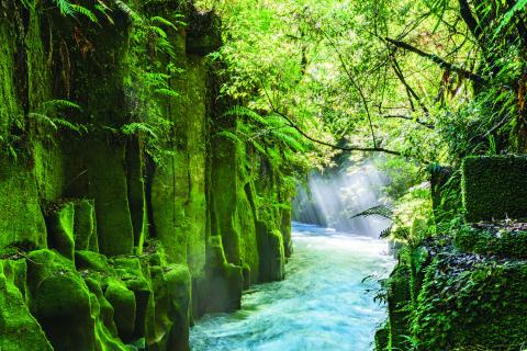 Te Whaiti Nui A Toi Canyon