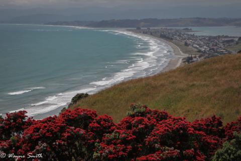 Ōhope Beach view