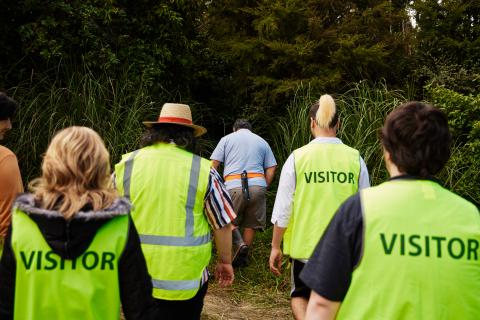 Ōmataroa Eco Tours visitor