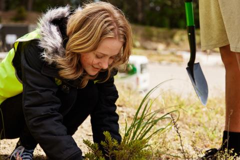 Ōmataroa Eco Tours planting