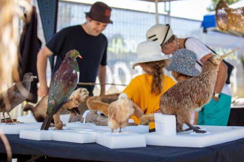 Local Wild Festival 2023 vendor 3