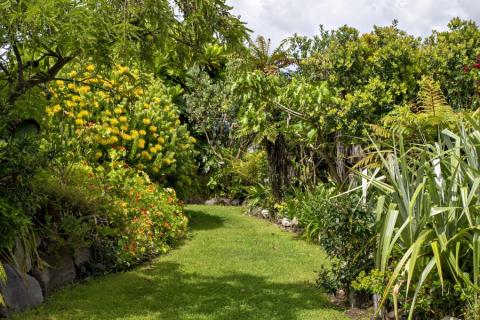 Moanarua Beach Cottage 2