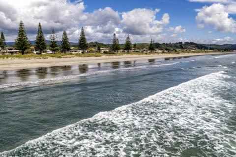 Moanarua Beach Cottage 17