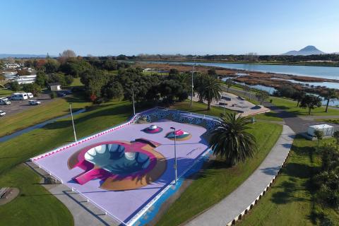 Aerial view of the skate park