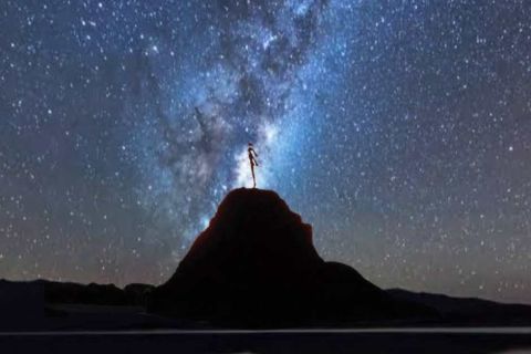 Matariki market 2024