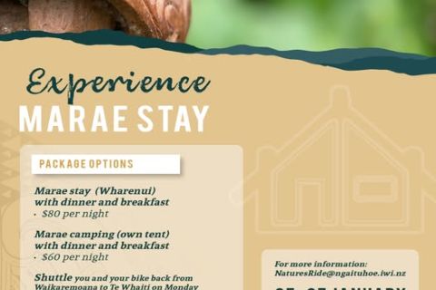 Te Urewera Heartland Rise 4
