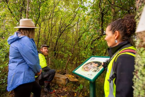 BareKiwi Kiwi Trust 2024