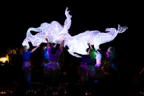 Light Up 2024_10