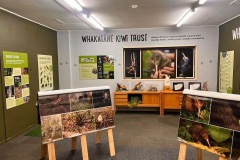 Kiwi Hub