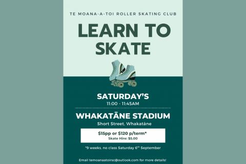 Learn To Skate Classes