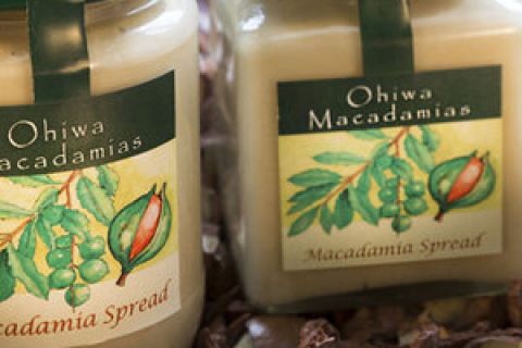 Ohiwa Macadamias 2