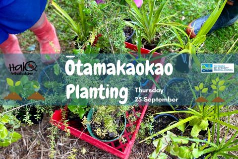 Ōtamakaokao Planting