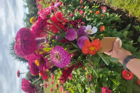 Sip & Snip U-Pick Flowers