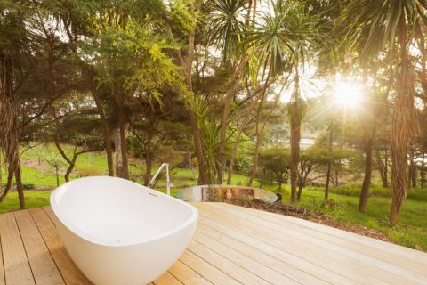 Barnie's bath in the sun