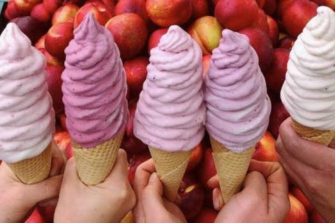 Berry Ice Creams