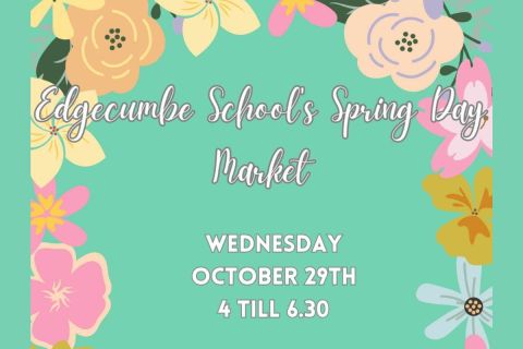 Edgecumbe School Spring Day