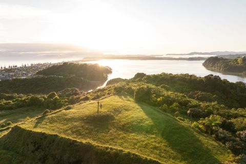 Tauwhare Pa