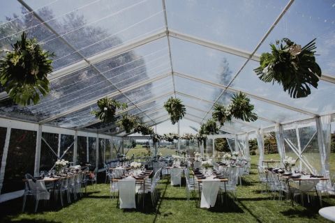 the venue