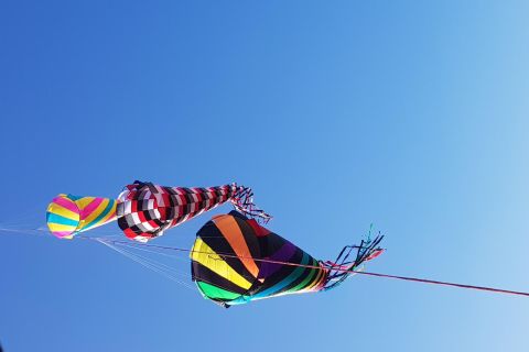 kites