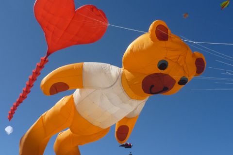 kite bear