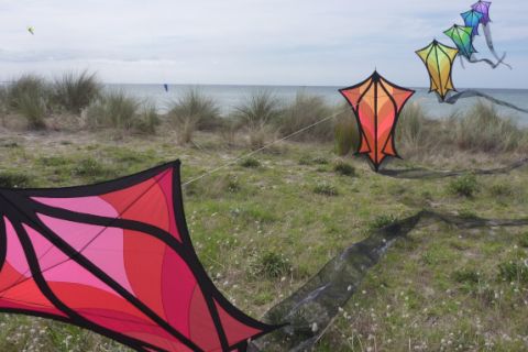 colourful kites