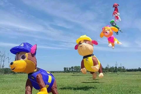 paw patrol kites