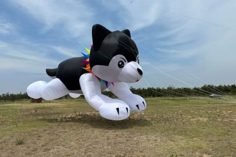 dog kite