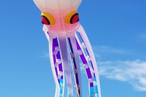 octopus kite