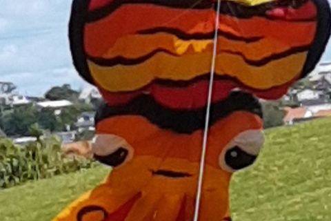 octopus kite