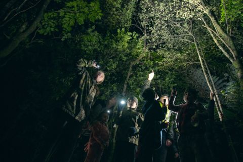 Whakatāne Kiwi Trust Night Walks