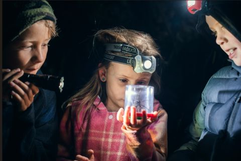 Whakatāne Kiwi Trust Kids Night Walk of Discovery