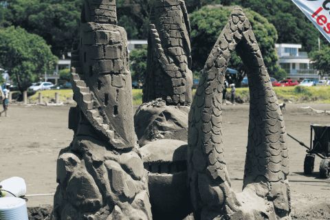 King of the Castle Sandcastle Ohope Beach