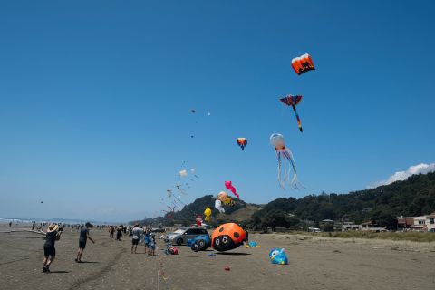 Kites at Ōhope Beach Festival 