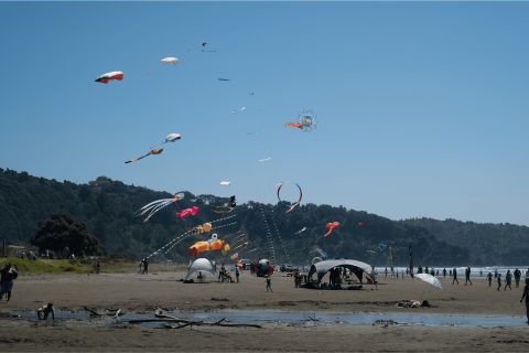 Kites at Ōhope Beach Festival 