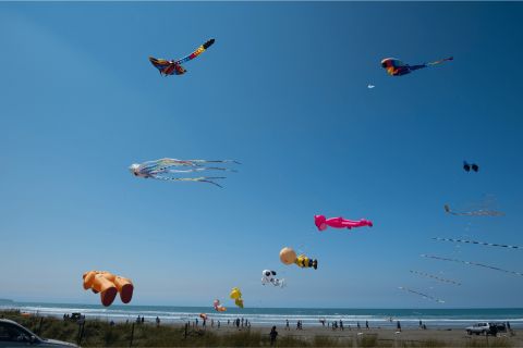 Kites Ōhope Beach