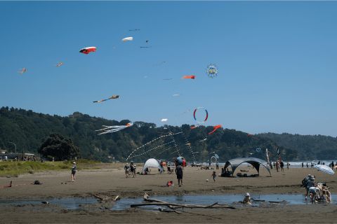Kites at Ōhope Beach Ō Festival 