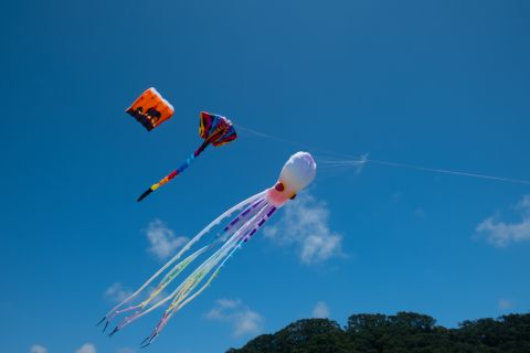 Kites Ōhope Beach