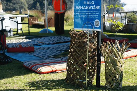 Ūwhi weaving - Sunday event Ohope Beach