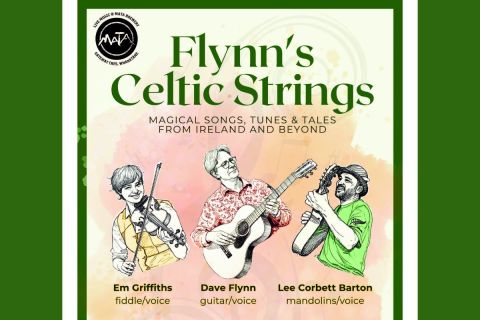 Flynn's Celtic Strings - Concert