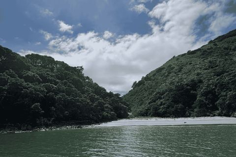 Moutohorā island 